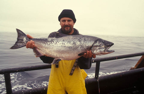 One huge salmon